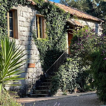 Chambres D'Hotes Barraconu Porto-Vecchio  Eksteriør billede